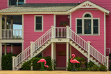 Casa Flamingo, Isle of Palms, South Carolina, 2013