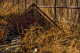 Ravages of time, Hachita, New Mexico, 2014