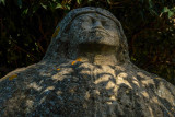 Life cycle, General Cemetery, Sucre, Bolivia, 2014