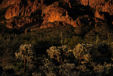 Desert rhythms, Peralta Canyon, Arizona, 2014