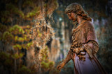 Natures toll, Bonaventure Cemetery, Savannah, Georgia, 2014