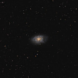 NGC7793 Spiral Galaxy 3.5 hours