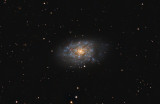 Spiral Galaxy NGC7793  crop view