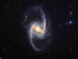 Southern Spiral Galaxy NGC1365 