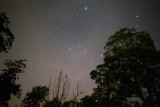 Orion .jpg