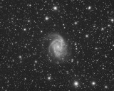 NGC2997 4 x 10mins 1x1 Scaled sharpened Scaled.jpg