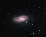 Spiral Galaxy M66 
