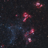 Seagull Nebula and others in the Large Magellanic Cloud