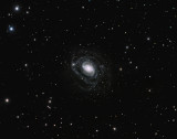 Distorted Southern Galaxy NGC289 