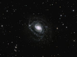 Distorted Southern Galaxy NGC289  crop view