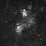 The Seagull Nebula in Hydrogen Alpha