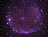 SH2 308 Bubble Shaped Wolf Rayet Nebula