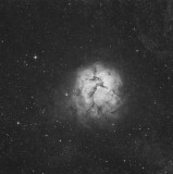 The Trifid Nebula in Hydrogen Alpha light
