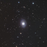 NGC1398  Southern Spiral Galaxy