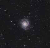 Spiral Galaxy M74 