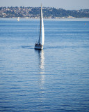 BainbridgeHarbor_8050.jpg