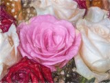 Colored Pencil Roses