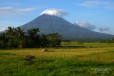 Country-side Mayon L1004646 1.jpg