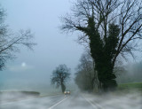 Driving home in a misty morning...