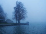 The lake of fog...