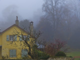 Yellow House in the Mist...