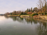 A walk in the morning along my lake shore...