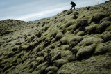 Moss Covered Lava Fields