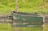 Canoe-4037.jpg