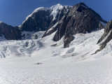 20160211_5047 copy.jpg