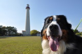 Everest at the Cape May Lighthouse