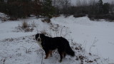 Everest loves snow!