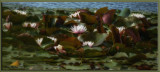 RGM_7615.jpg