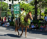 Molokai Pau Princess