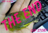 Cip 28/09/2016 The End