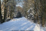 belslijntje_winter_20130116_001.jpg