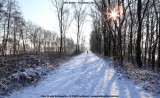belslijntje_winter_20130116_005.jpg