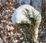 belslijntje_winter_20130116_010.jpg