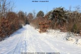 belslijntje_winter_20130116_012.jpg