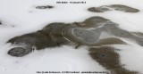 belslijntje_winter_20130116_013.jpg