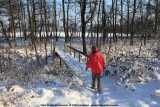 belslijntje_winter_20130116_031.jpg