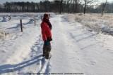 belslijntje_winter_20130116_035.jpg