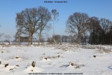 belslijntje_winter_20130116_036.jpg