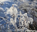 belslijntje_winter_20130116_042.jpg