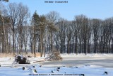 belslijntje_winter_20130116_046.jpg
