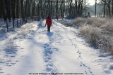 belslijntje_winter_20130116_047.jpg