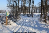 belslijntje_winter_20130116_052.jpg