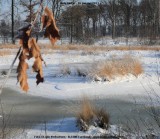 belslijntje_winter_20130116_058.jpg