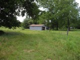 IMGP1051.JPG