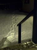January 26