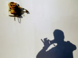 L'Autoportrait du Costa